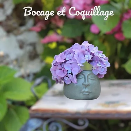 Bocage Et Coquillage