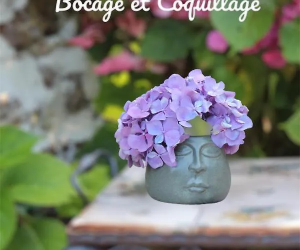 Bocage Et Coquillage