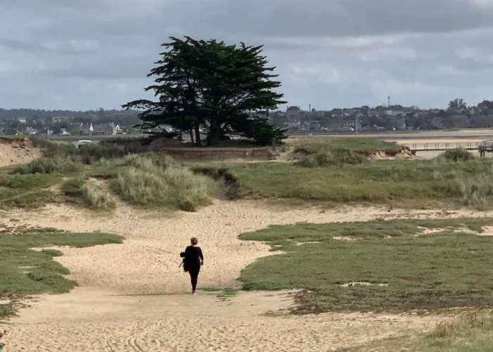 Bocage Et Coquillage